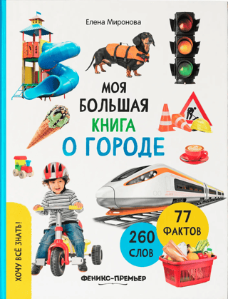 My big book about the city