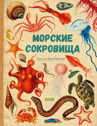 Sea treasures