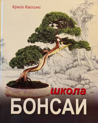 Bonsai school