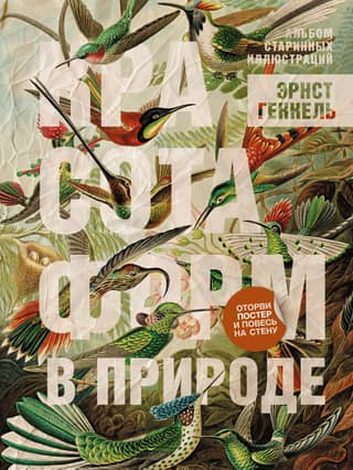 The Beauty of Form in Nature. An Album of Vintage Illustrations