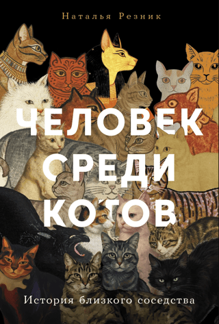 A Man Among Cats: A Tale of Close Neighborhood