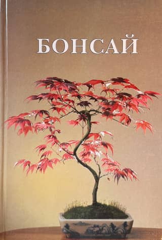 Bonsai