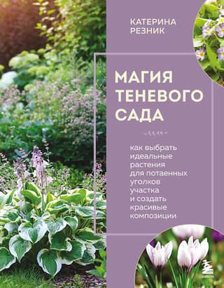 The Magic of a Shady Garden: How to Choose the Perfect Plants for Hidden Nooks and Create Beautiful Compositions