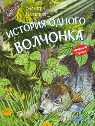 The Story of One Wolf Cub