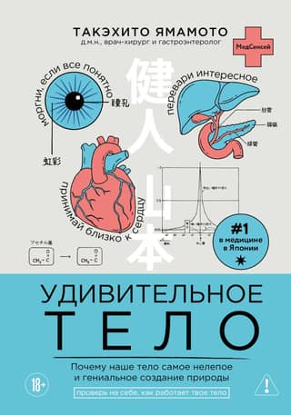The Amazing Body: Why Our Body Is Nature's Most Absurd and Brilliant Creation