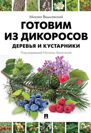 Cooking with wild plants. Trees and shrubs