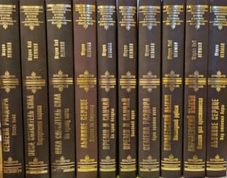 The Plantagenets series in 10 books