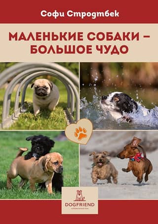 Little dogs are a big miracle