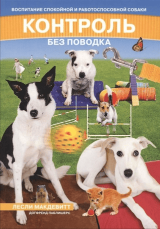 Off-leash control: raising a calm and efficient dog