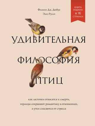 The Amazing Philosophy of Birds: How Swallows Relate to Death, Turtle Doves Maintain Romance in Relationships, and Ducks Relieve Stress