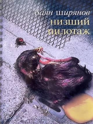 Низший пилотаж