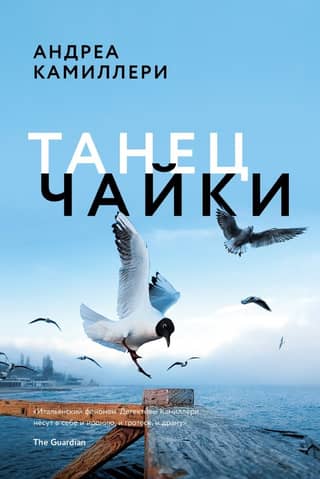 Seagull Dance