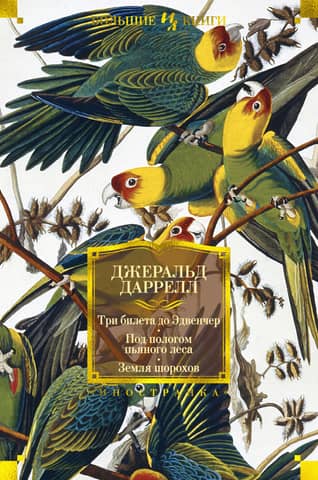 Three tickets to Adventure. Under the canopy of the drunken forest. Land of rustles.