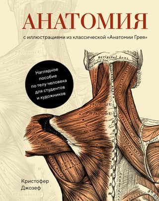 Anatomy: With Illustrations from the Classic Gray's Anatomy