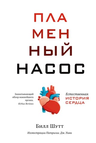 The Flame Pump: A Natural History of the Heart