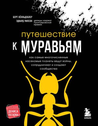Journey to the Ants: How the Planet's Most Numerous Insects War, Cooperate, and Build Communities