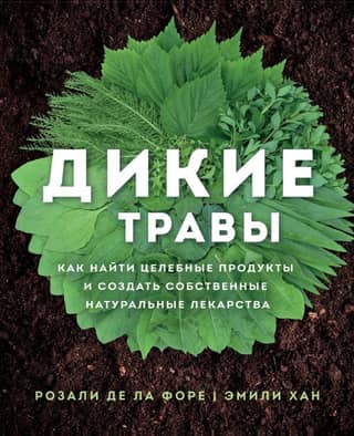Wild Herbs: How to Find Healing Foods and Create Your Own Natural Remedies