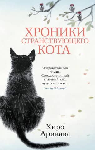 Chronicles of a Wandering Cat