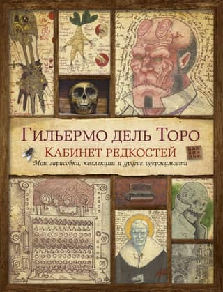 A Cabinet of Curiosities: My Sketches, Collections, and Other Obsessions