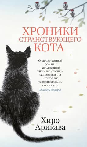 Chronicles of a Wandering Cat