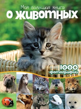 My Big Book of Animals