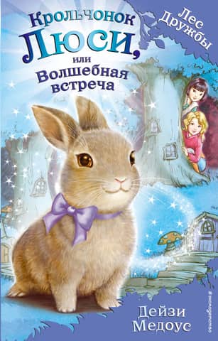 Lucy the Rabbit, or A Magical Encounter