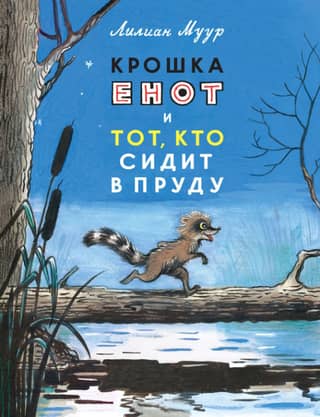 Little Raccoon and the Pond Man