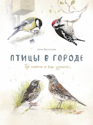 Birds in the City: Where to Find Them and How to Identify Them