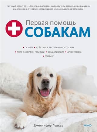 First Aid for Dogs: Examination, Emergency Situations, First Aid Kit, Socialization