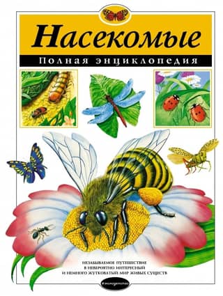 Insects: A Complete Encyclopedia