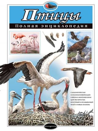 Birds: A Complete Encyclopedia