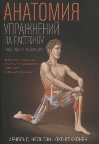 Anatomy of Stretching Exercises