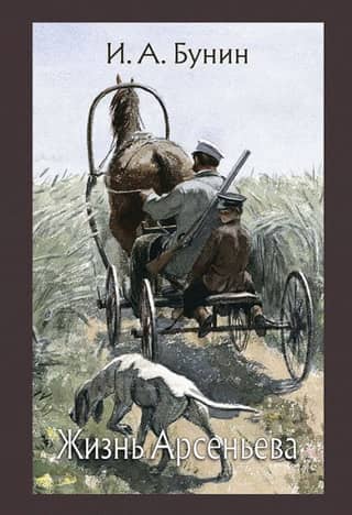 The Life of Arsenyev