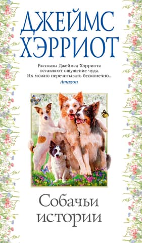 Dog Stories