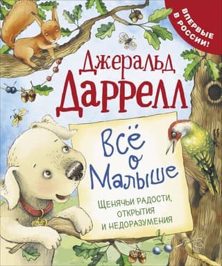 All about Baby. Puppy joys, discoveries, and misunderstandings.