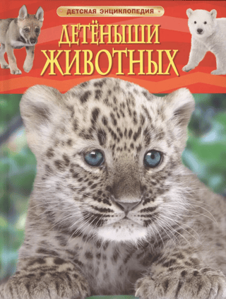 Baby Animals. Children's Encyclopedia