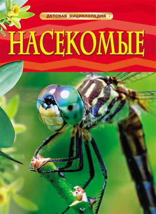 Insects: A Children's Encyclopedia