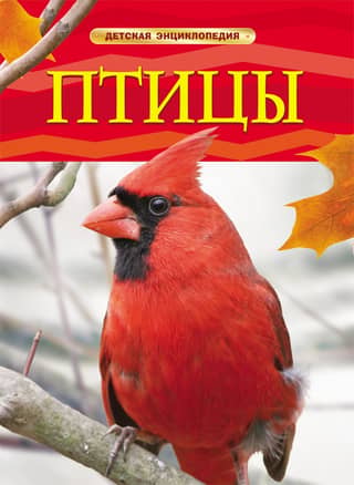 Birds: A Children's Encyclopedia