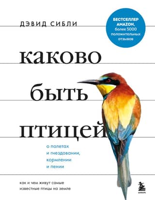 What it's like to be a bird: about flying and nesting, feeding and singing. How and what the most famous birds on earth live on