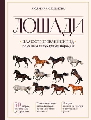 Horses: An Illustrated Guide to the Most Popular Breeds