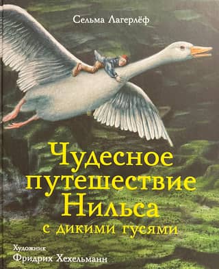 The Wonderful Adventures of Nils with the Wild Geese
