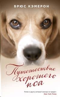 A Good Dog's Journey