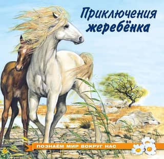 Exploring the World Around Us: The Adventures of a Foal