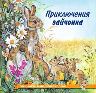 Exploring the World Around Us: The Adventures of a Little Bunny