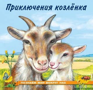 Exploring the World Around Us: The Adventures of a Kid