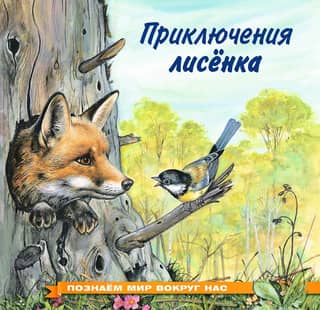 Exploring the World Around Us: The Adventures of a Little Fox