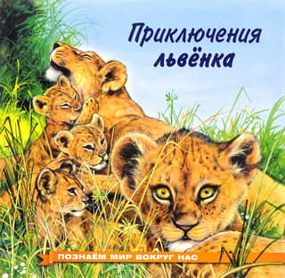 Exploring the World Around Us: The Adventures of a Lion Cub