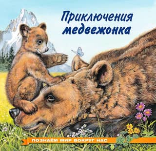Exploring the World Around Us: The Adventures of a Little Bear