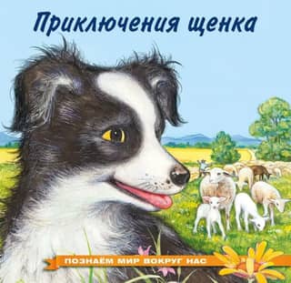 Exploring the World Around Us: A Puppy's Adventures