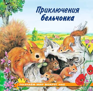 Exploring the World Around Us: The Adventures of a Squirrel